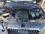 Audi Q5 2017