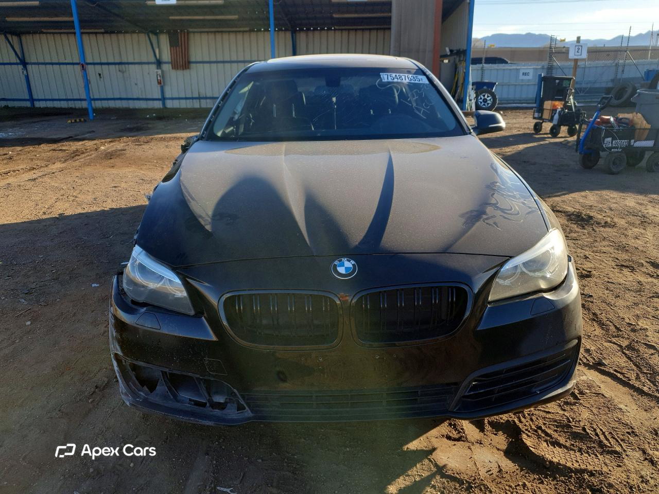 BMW Series 5 2014