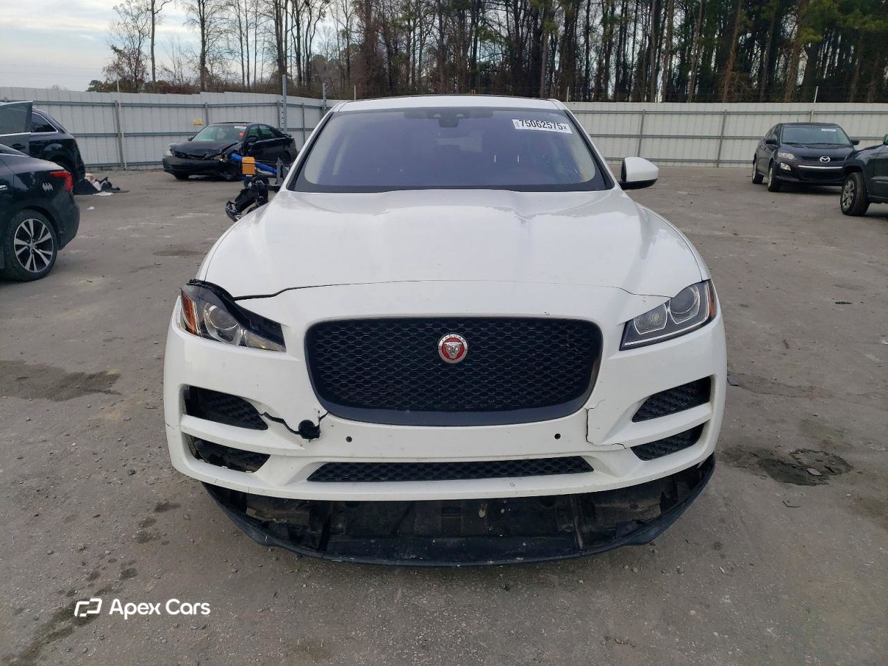 Jaguar F-Pace 2019