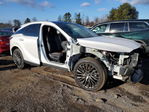 Lexus RX 2023