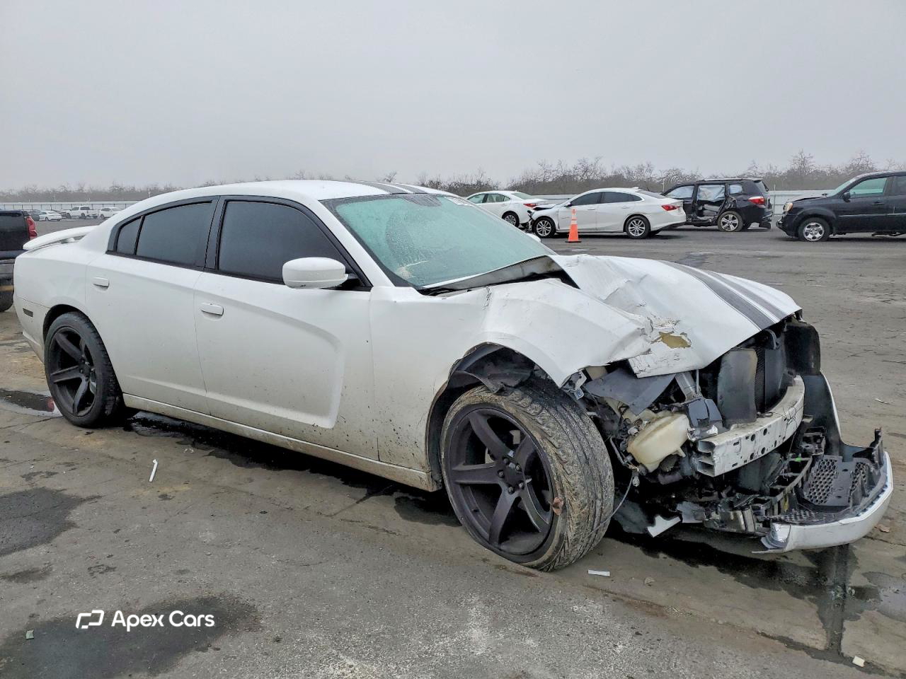 Dodge Charger 2013