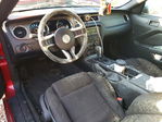 Ford Mustang 2013