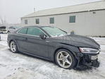 Audi A5 2019