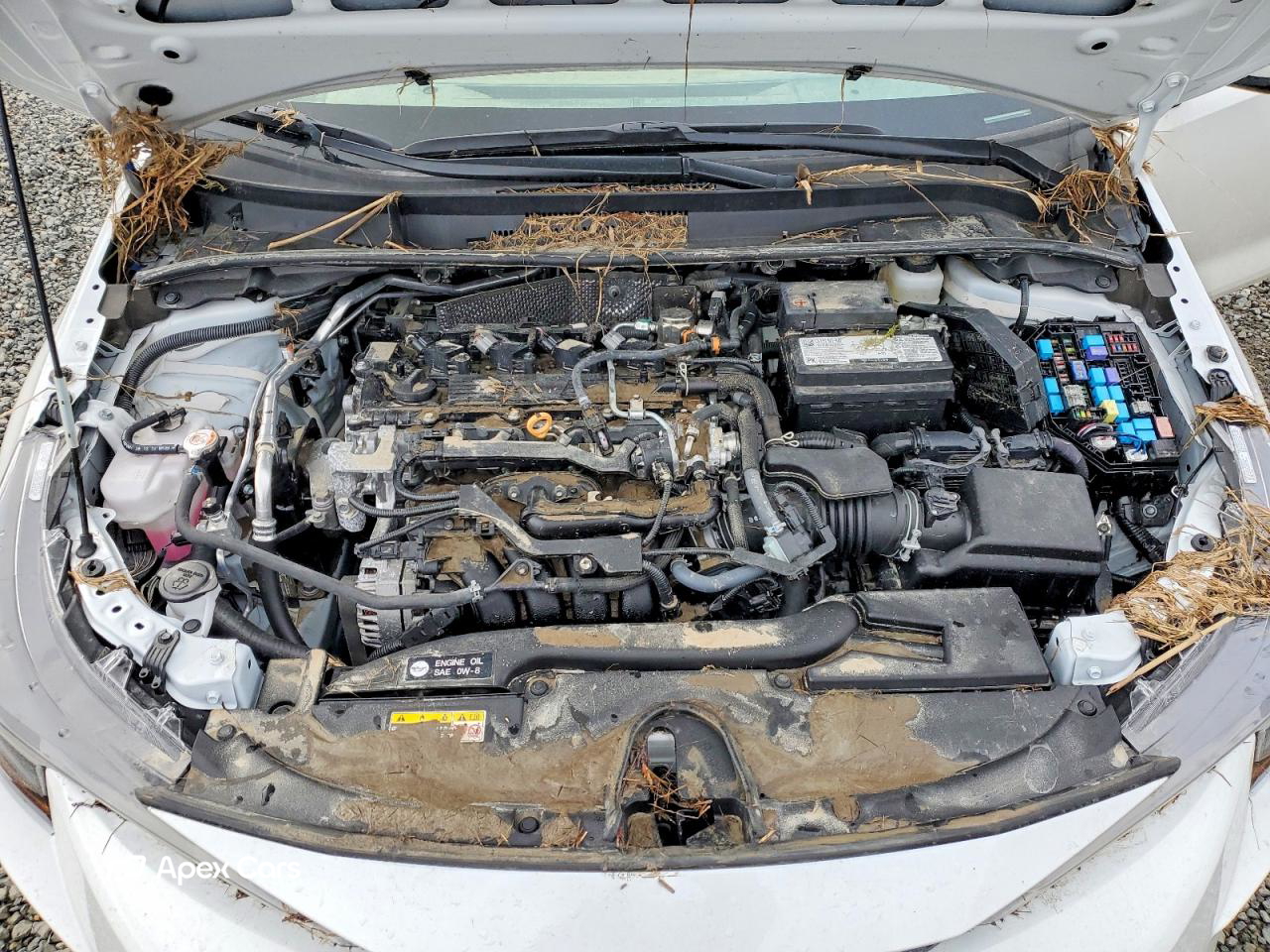 Toyota Corolla 2025