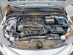 Toyota Corolla 2025