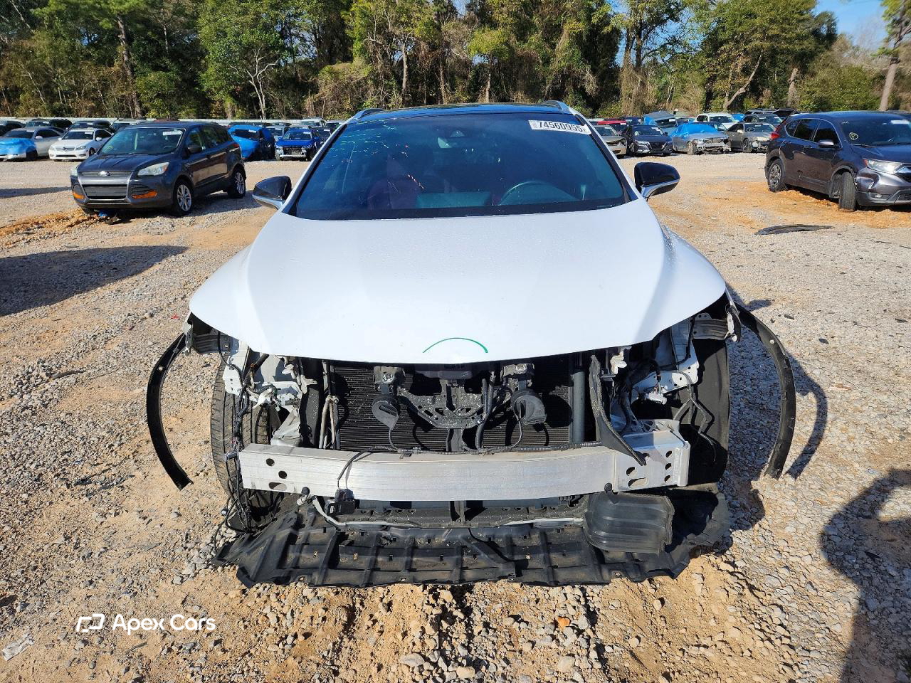 Lexus RX 2019