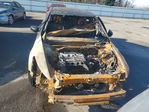 Honda Accord 2012