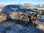 Lexus RX 2024