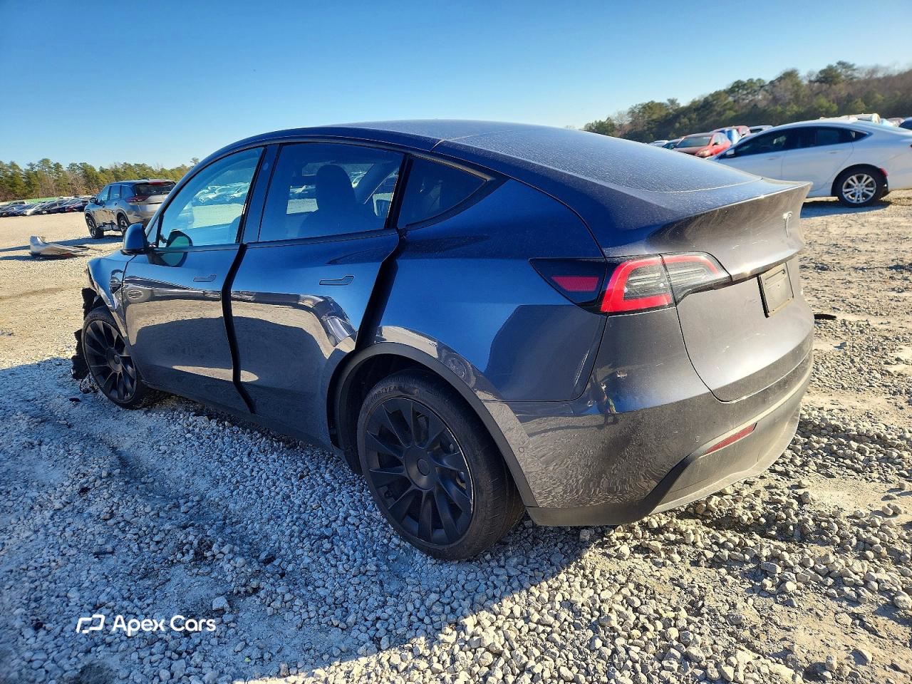 Tesla Model Y 2021