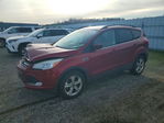 Ford Escape 2015