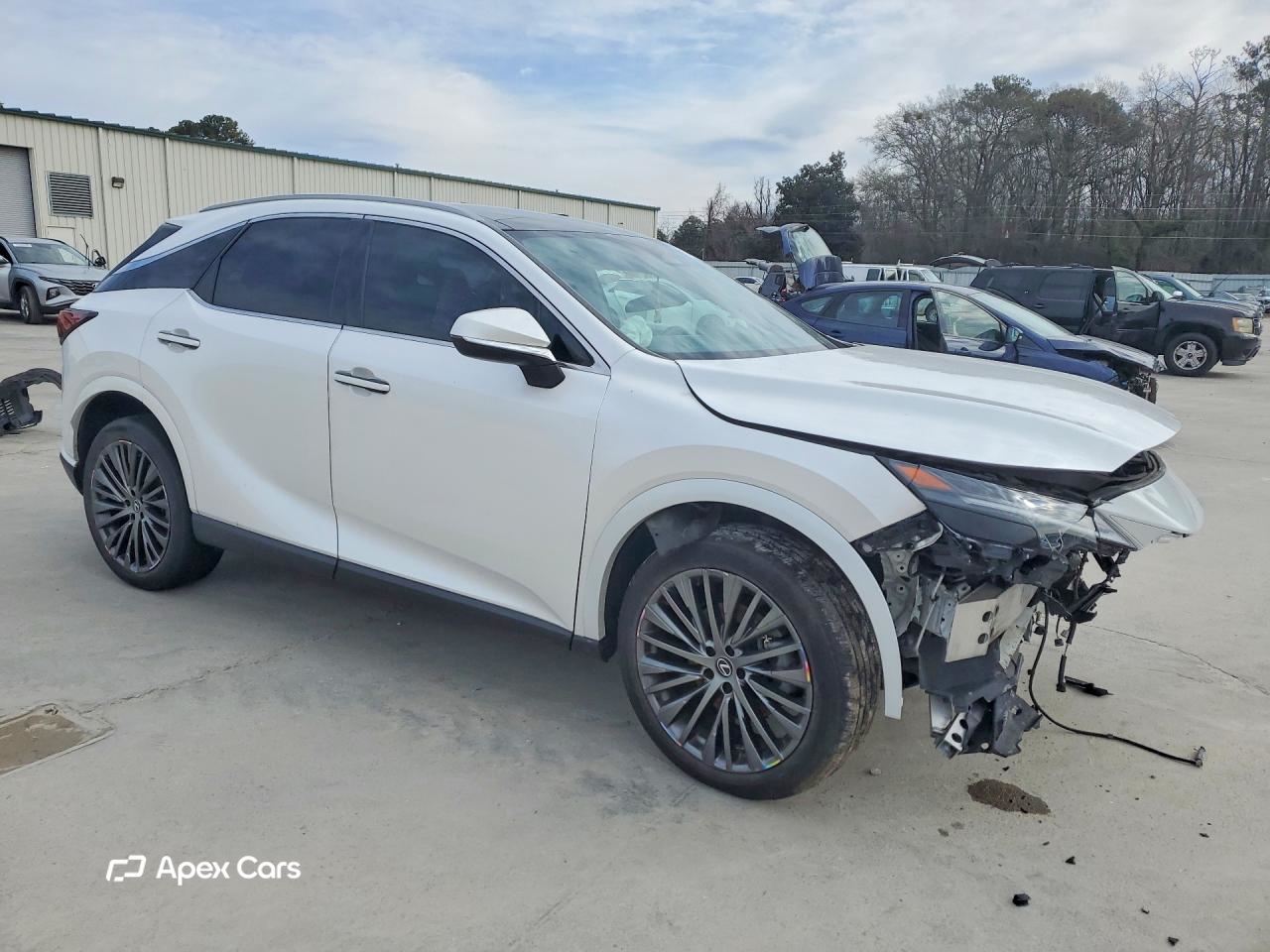 Lexus RX 2023