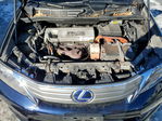 Lexus HS 2010