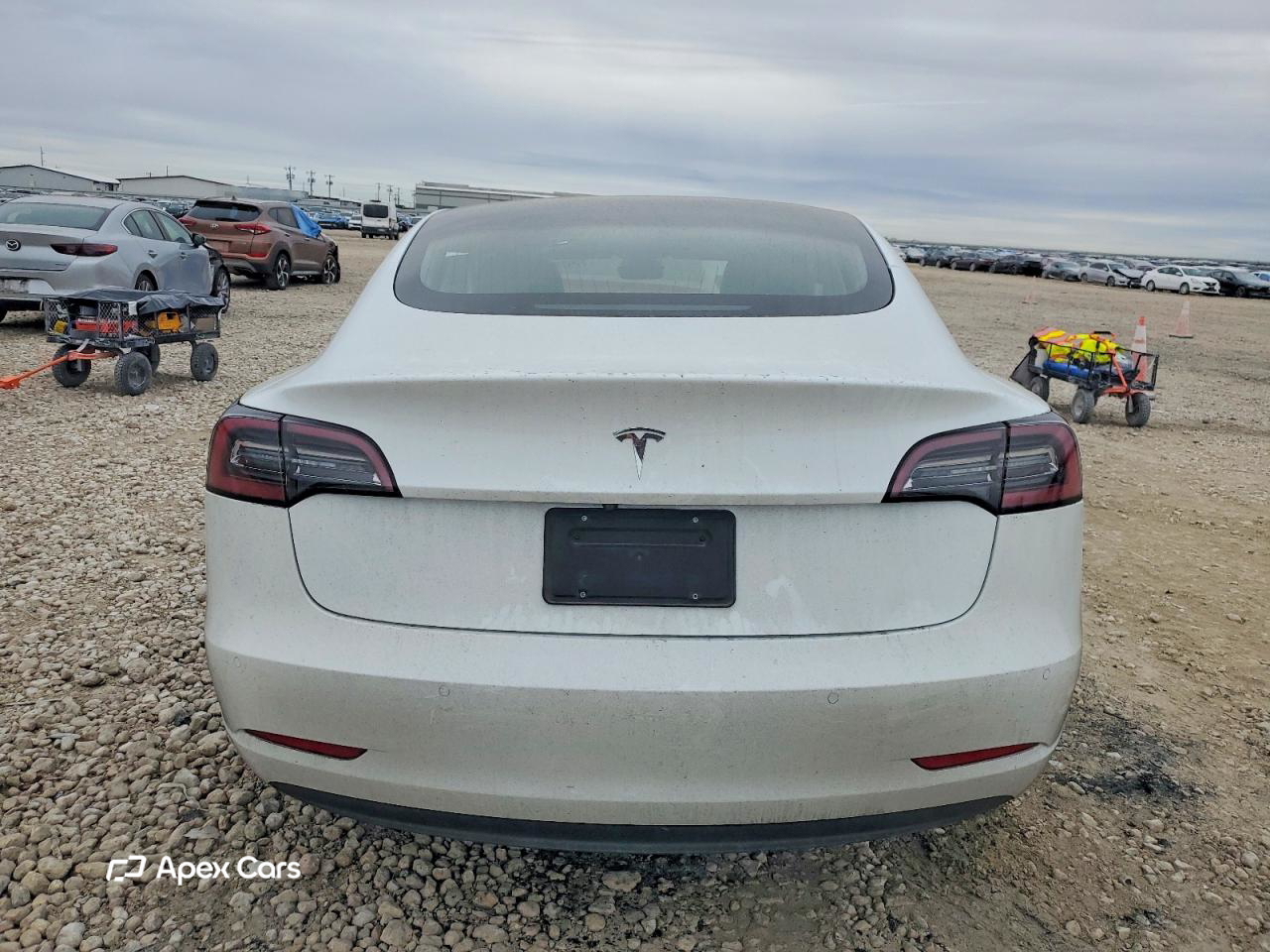 Tesla Model 3 2020
