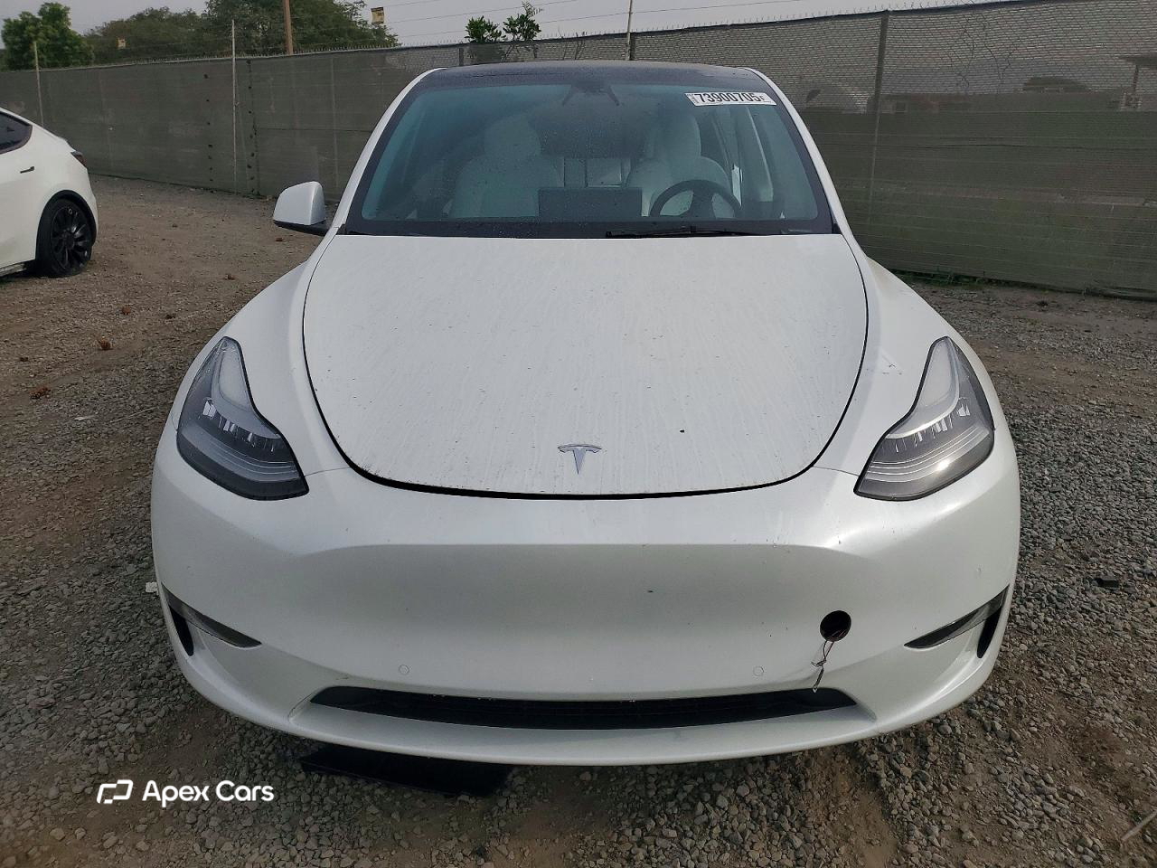 Tesla Model Y 2021