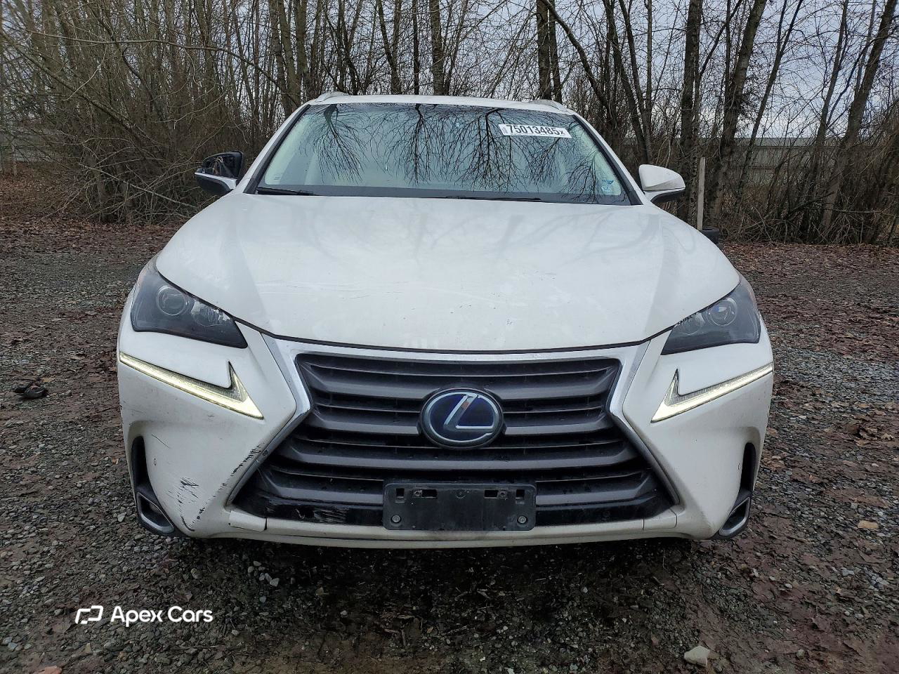 Lexus NX 2017