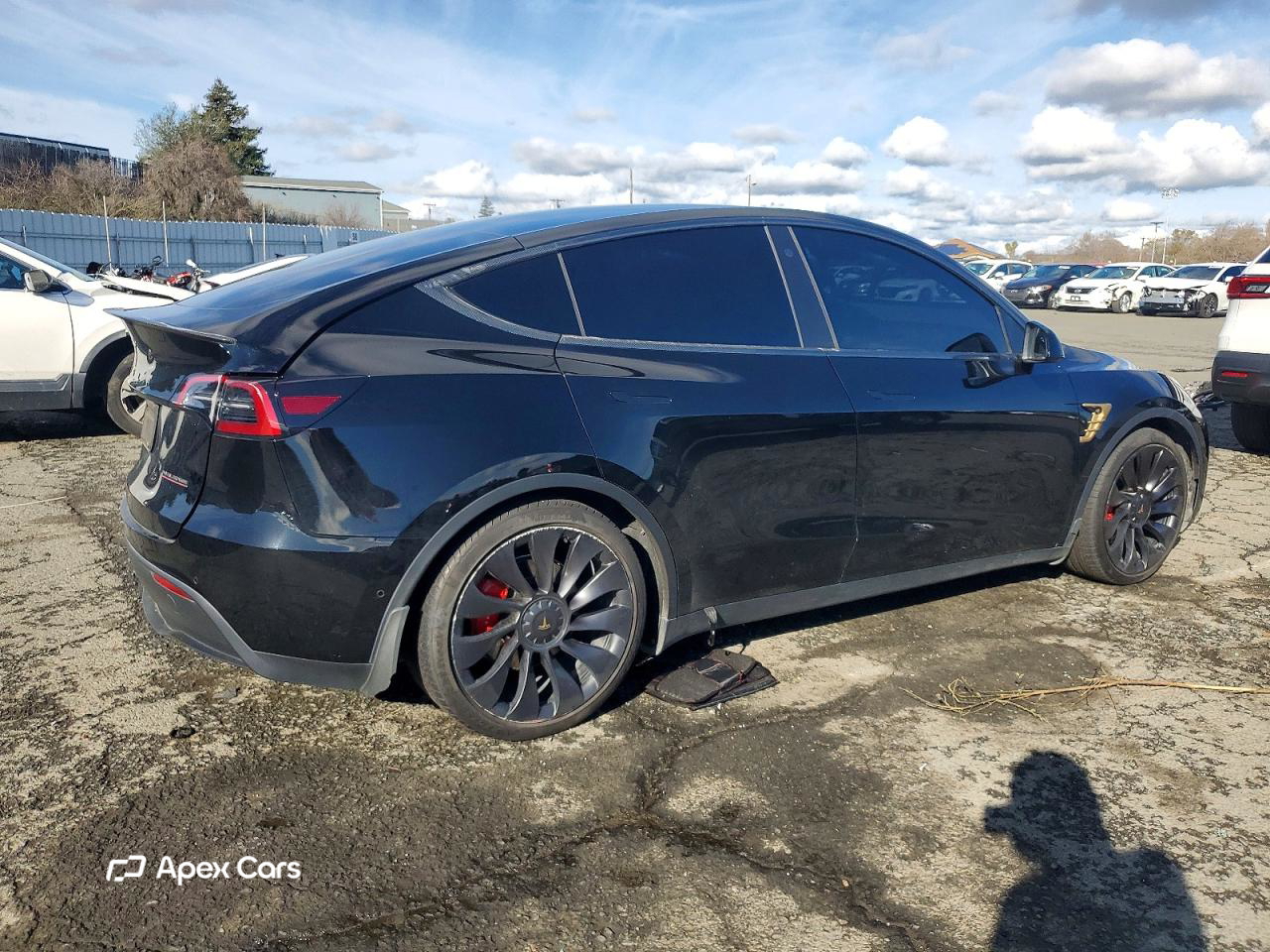 Tesla Model Y 2022