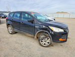 Ford Escape 2015