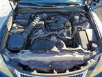Lexus IS 2010