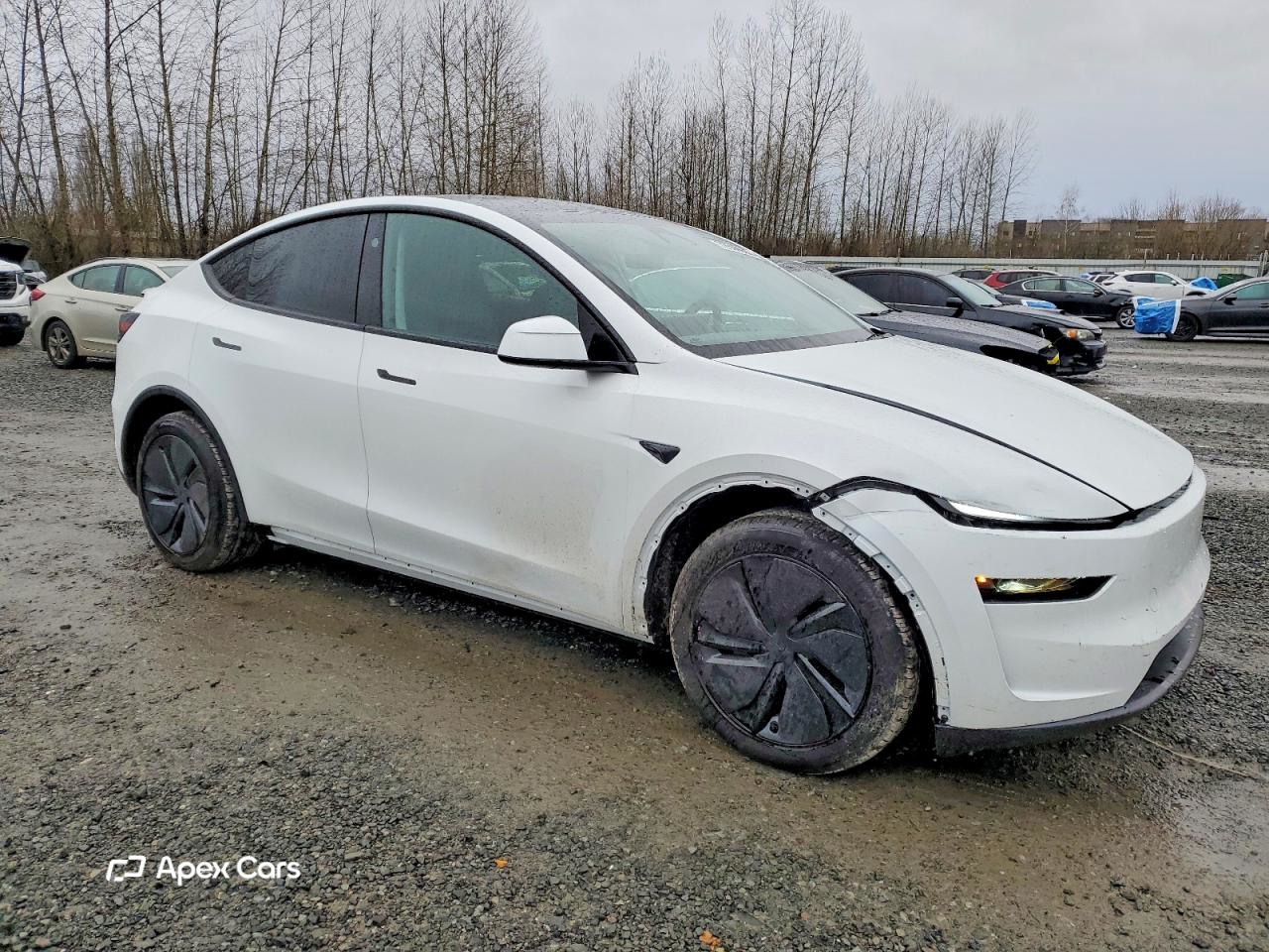 Tesla Model Y 2026