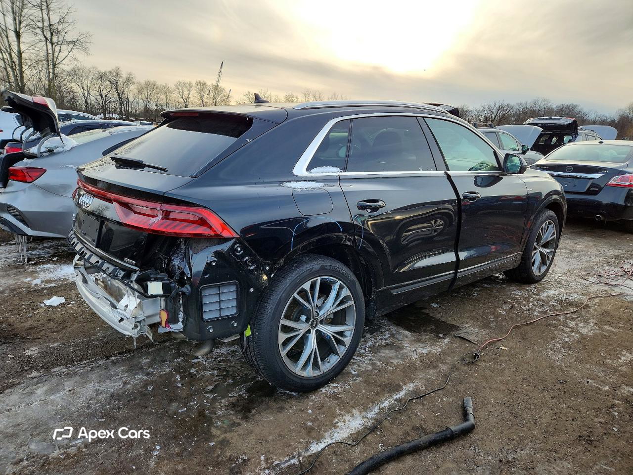 Audi Q8 2023