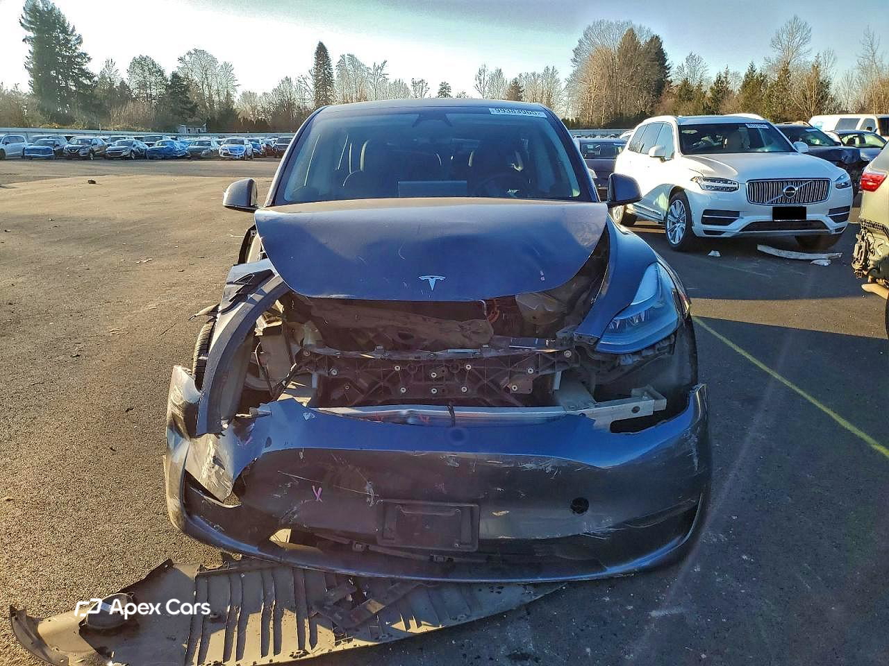 Tesla Model Y 2023