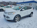 Ford Escape 2014
