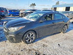 Kia Forte 2021