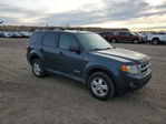 Ford Escape 2008