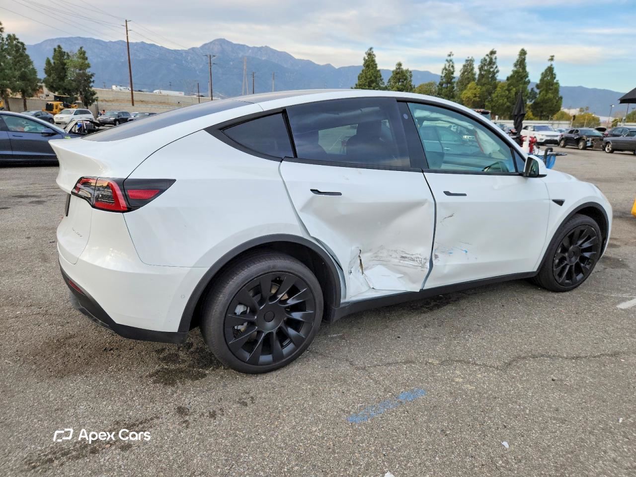 Tesla Model Y 2022