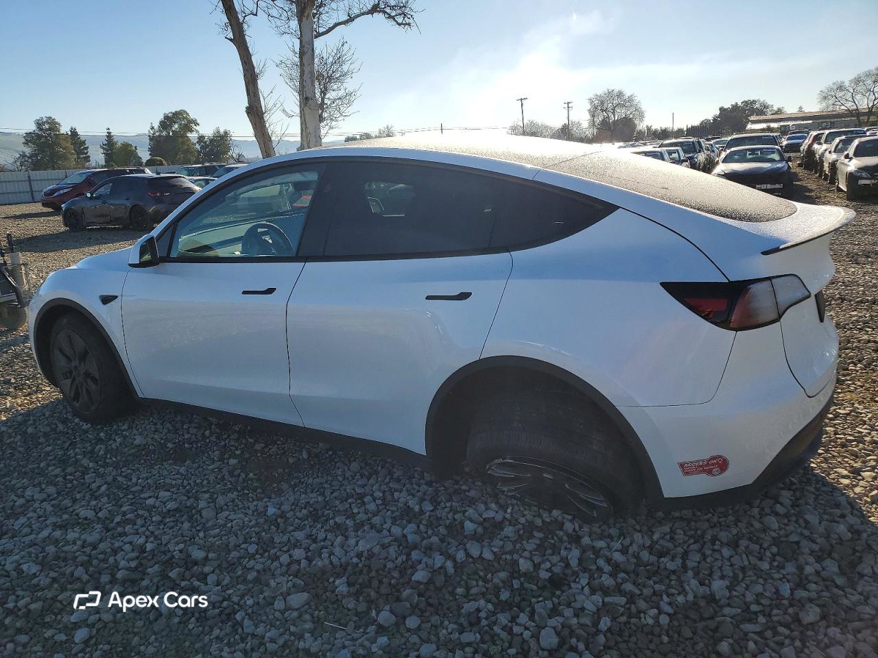 Tesla Model Y 2024