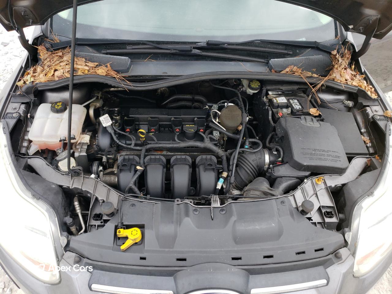 Ford Focus 2014