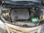 Toyota Corolla 2011