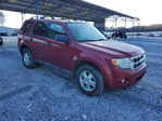 Ford Escape 2012