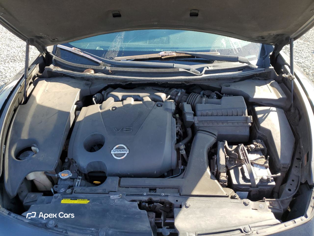 Nissan Maxima 2011