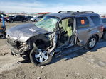 Ford Escape 2008