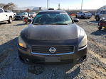 Nissan Maxima 2011