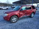 Ford Escape 2012