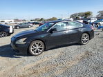 Nissan Maxima 2011