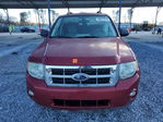 Ford Escape 2012