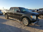 Ford F-150 2010