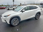 Lexus NX 2020