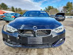 BMW Series 4 2016