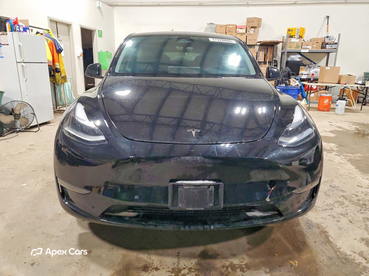Tesla Model Y 2024