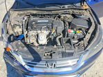 Honda Accord 2013