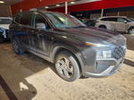Hyundai Santa Fe 2023