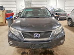 Lexus RX 2010