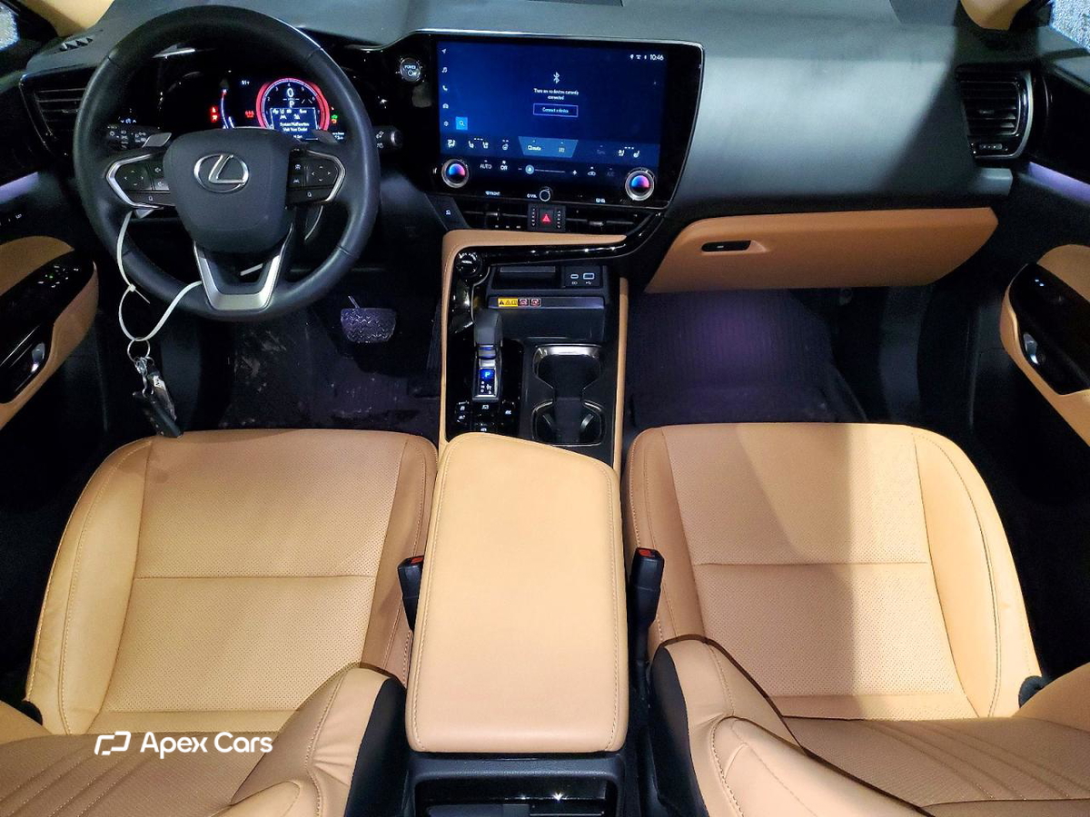 Lexus NX 2025