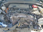 Dodge Hornet 2024