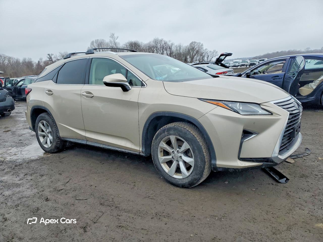 Lexus RX 2017