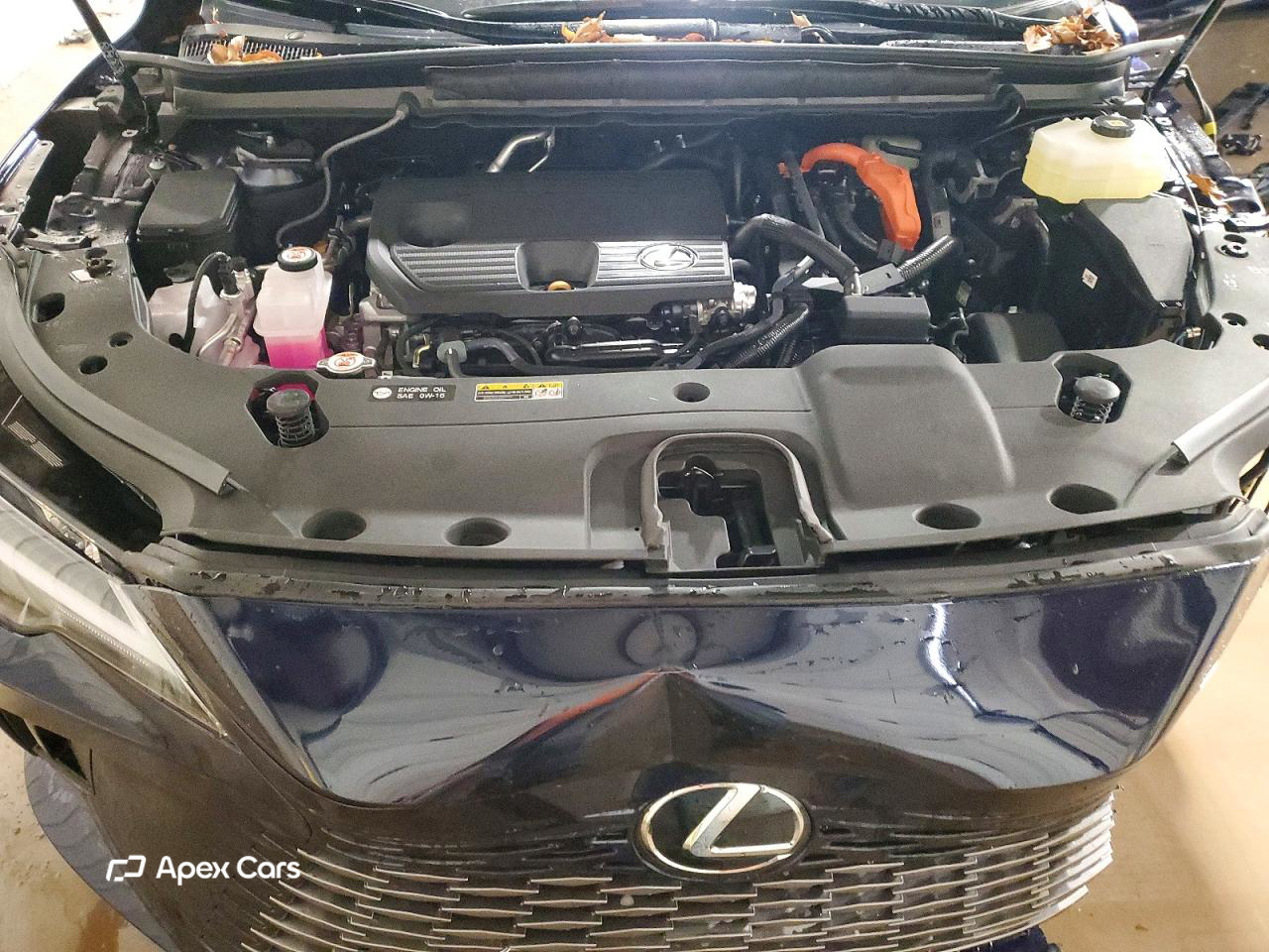 Lexus RX 2025